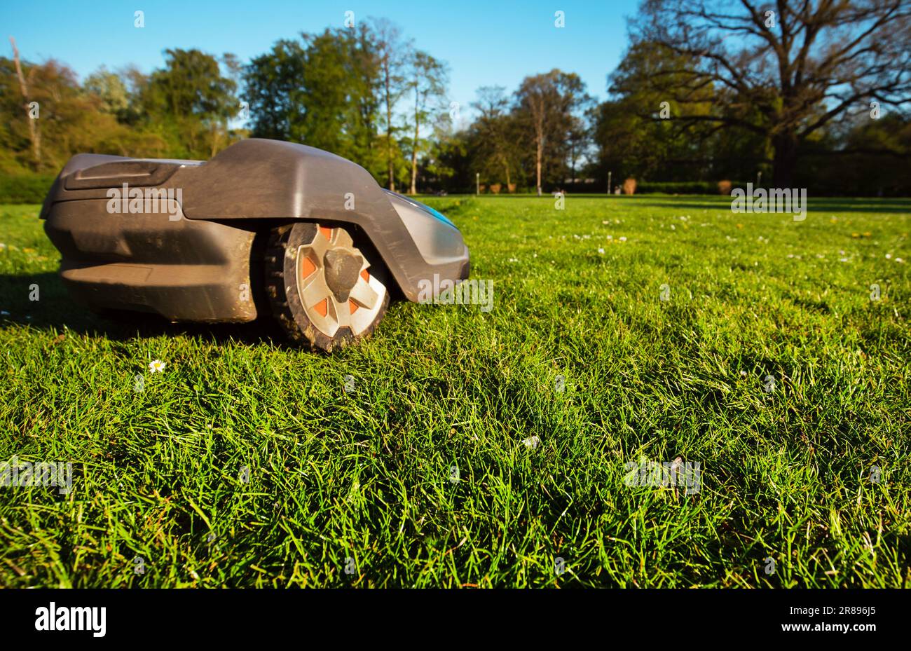 Robotic lawnmower in action on a sunny day Stock Photo