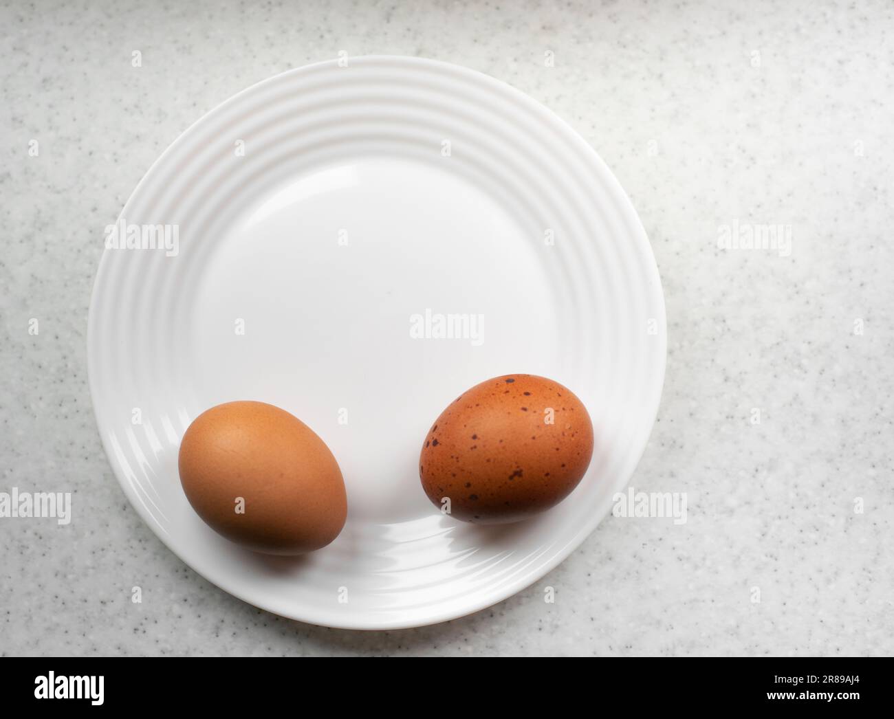 Chicken eggs in white plate closeup view from above Stock Photo