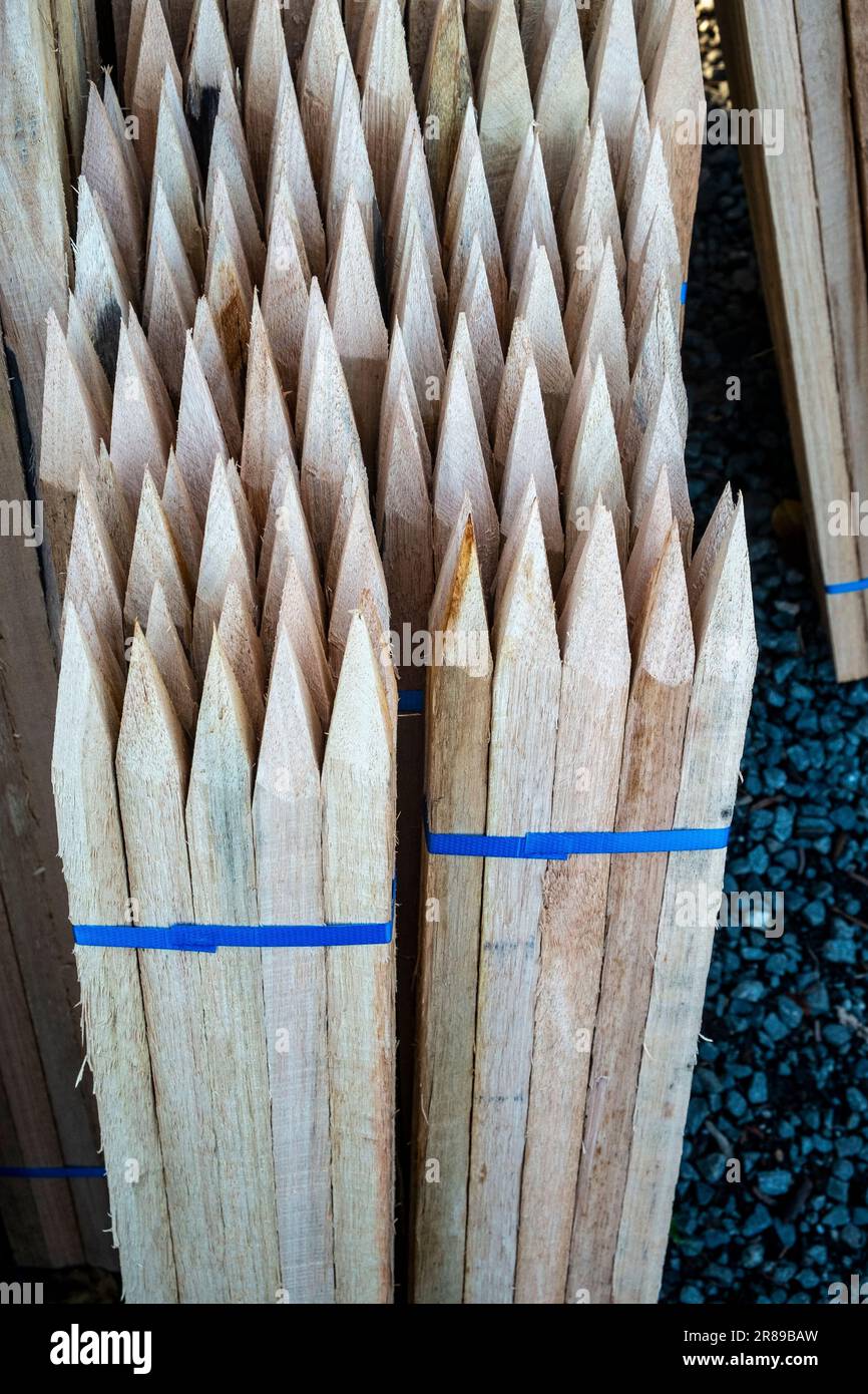 Sharpened timber stakes for supporting fruit trees for sale at a large gardening centre Stock Photo
