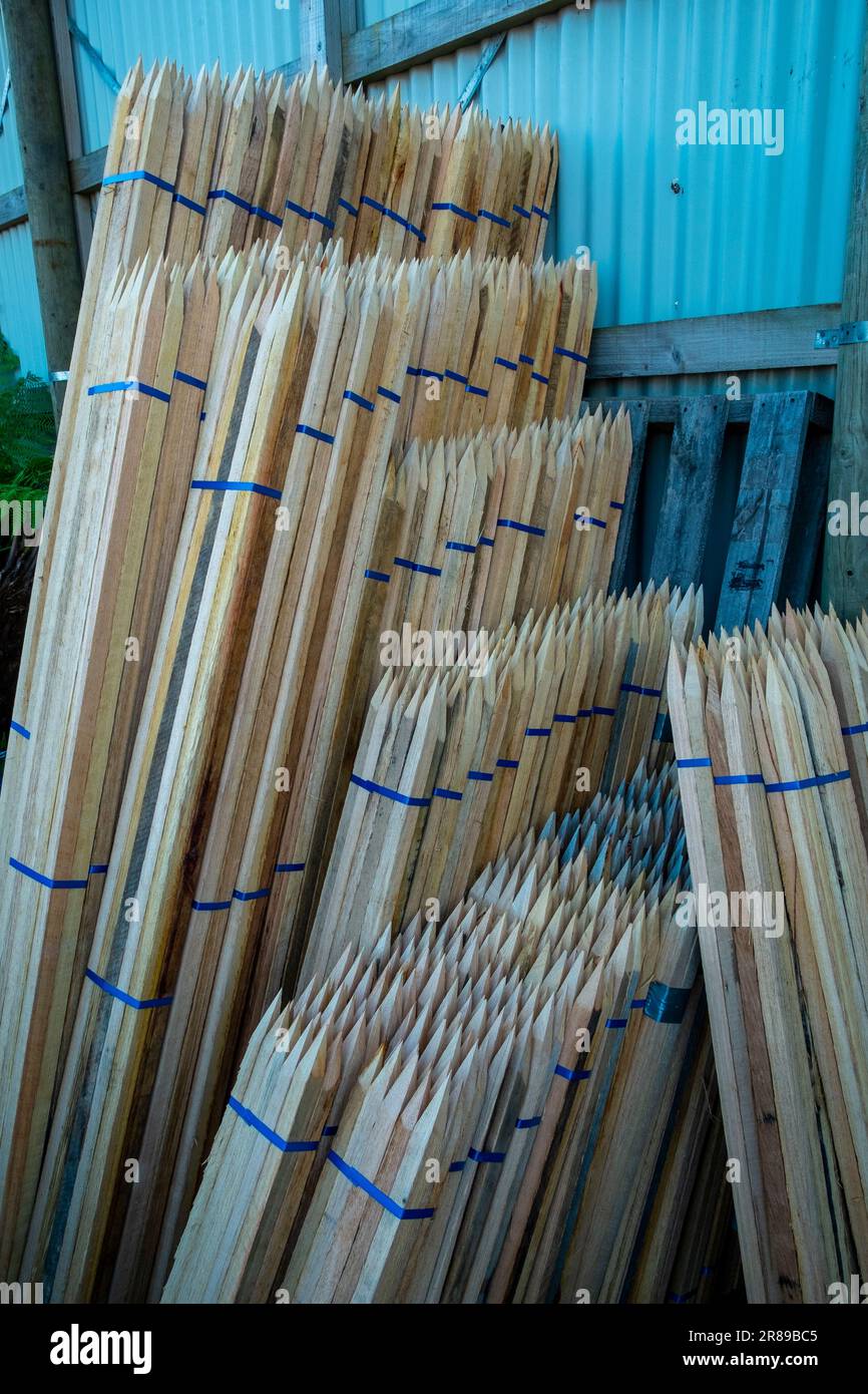 Sharpened timber stakes for supporting fruit trees for sale at a large gardening centre Stock Photo