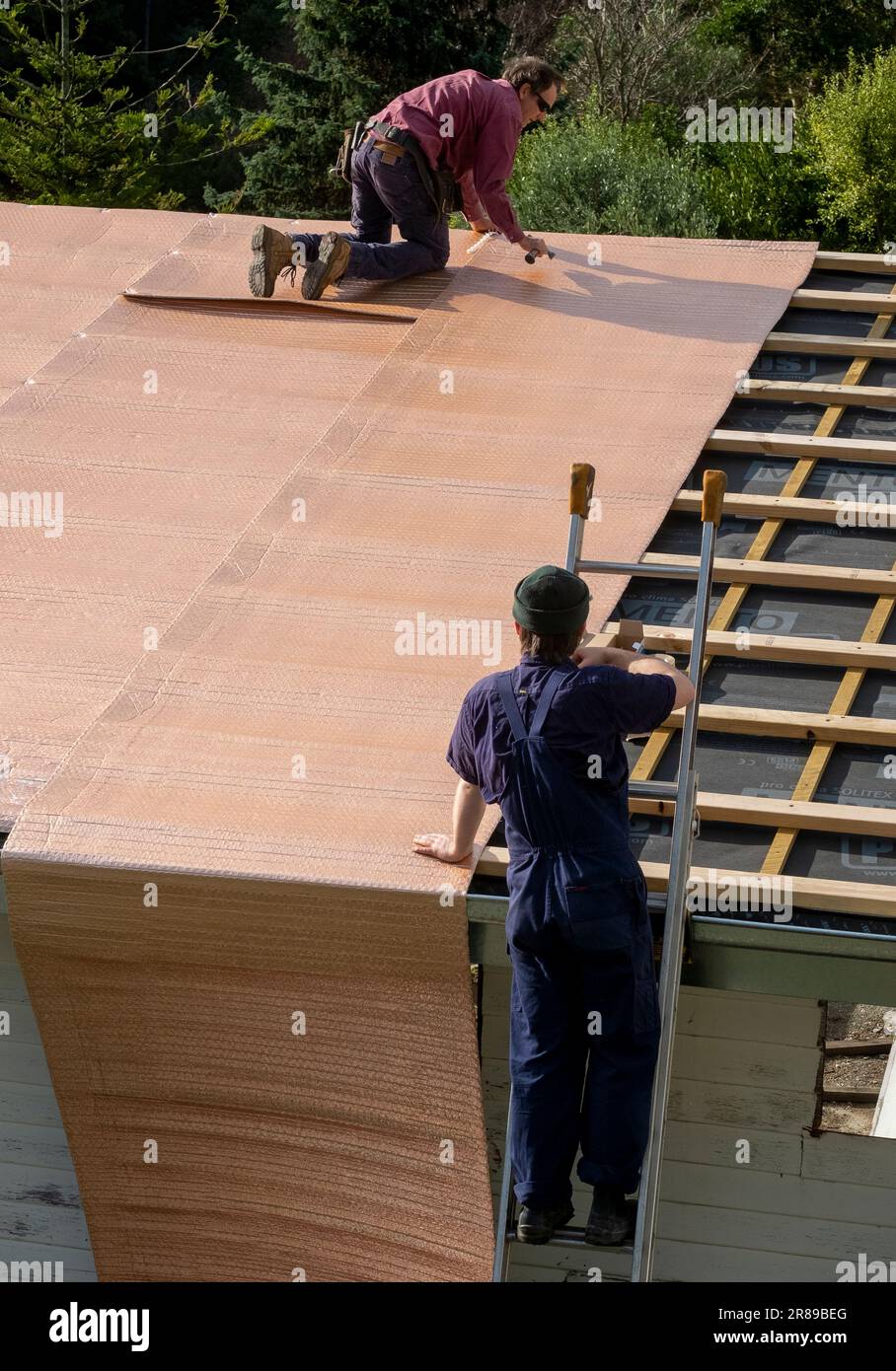 Tradesman stapling down insulation on roof before corrugated iron