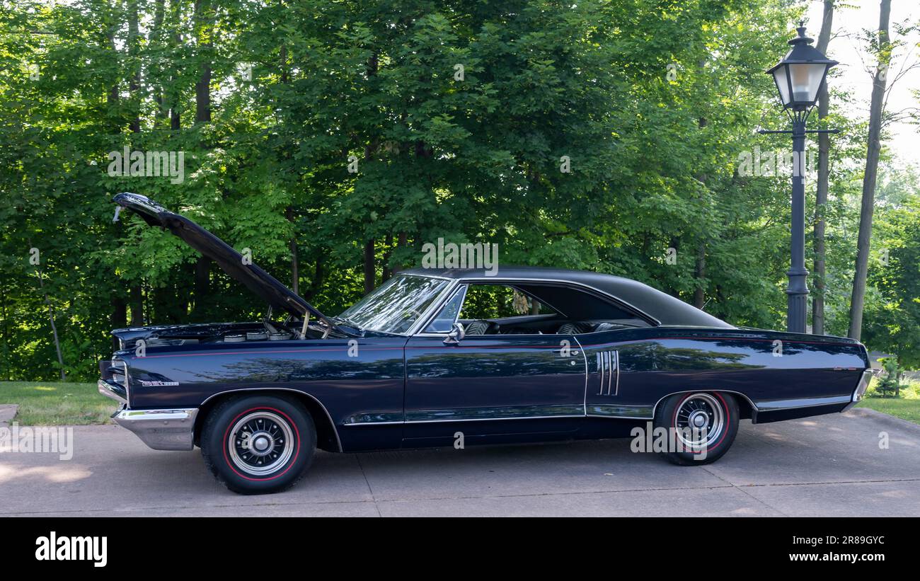 Dearborn Mi Usa June 17 2023 1966 Pontiac Catalina Car The Henry Ford Thf Motor Muster Dearborn Mi Usa June 17 2023 1966 Pontiac Catalina Car The Henry Ford Thf Motor Muster