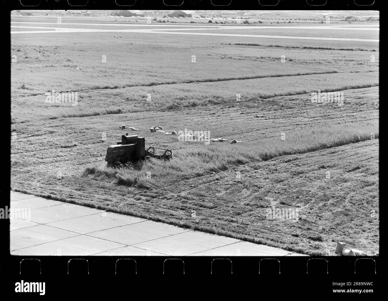 Current 4041960 The grain follows the jet breeze. Grain is grown