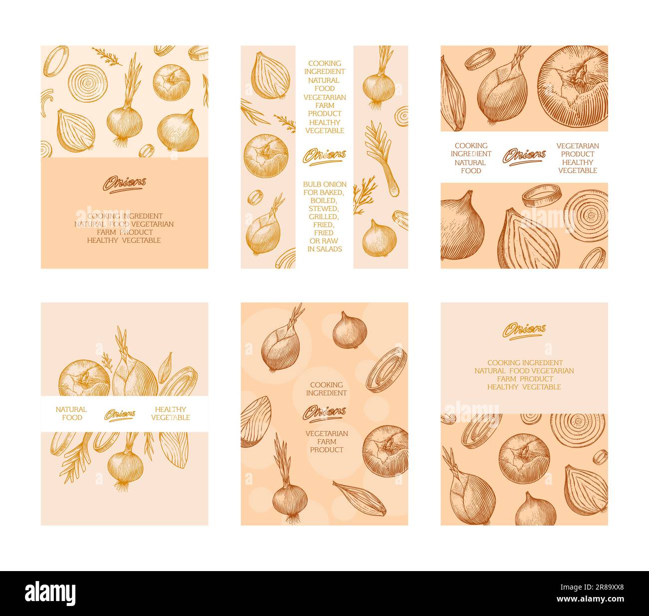Onion bulb poster or banner, Half cutout slice and rings. Hand drawn with ink in vintage style. Linear graphic outline design. Detailed vegetarian Stock Vector