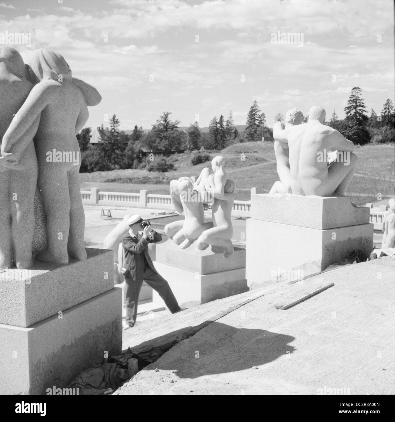 Current 161947 The Vigelands plant, scandalous or brilliantOver the