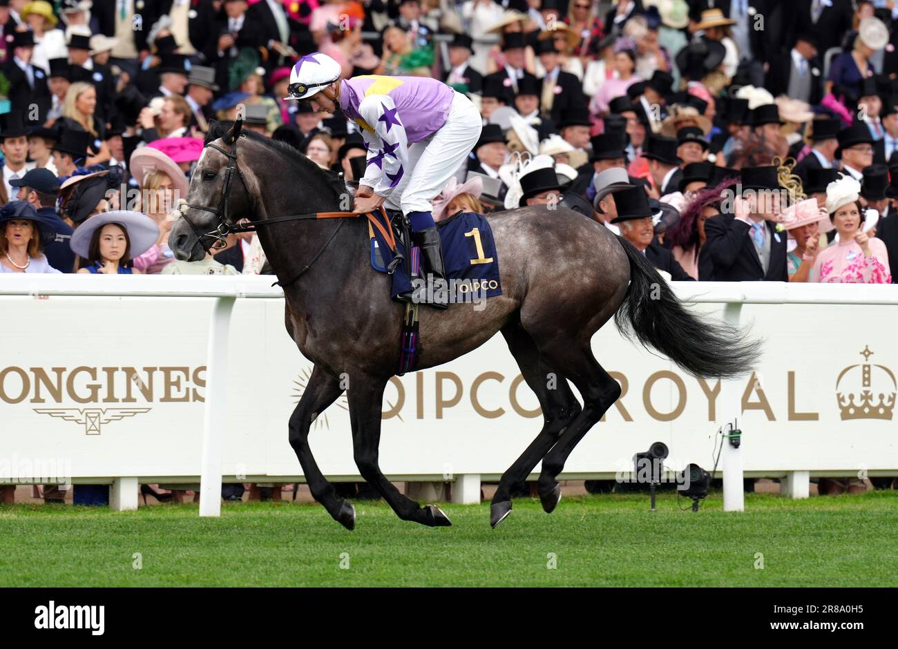 Angel Bleu ridden by Hector Crouch goes to post ahead of the Queen Anne Stakes on day one of Royal Ascot at Ascot Racecourse, Berkshire. Picture date: Tuesday June 20, 2023. Stock Photo