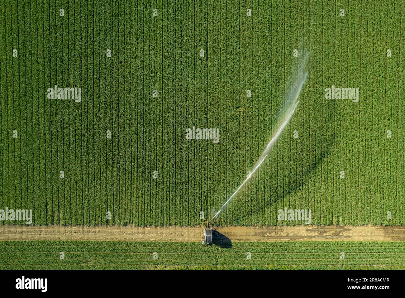 Irrigation System For Watering Of Agricultural Crops With A Big