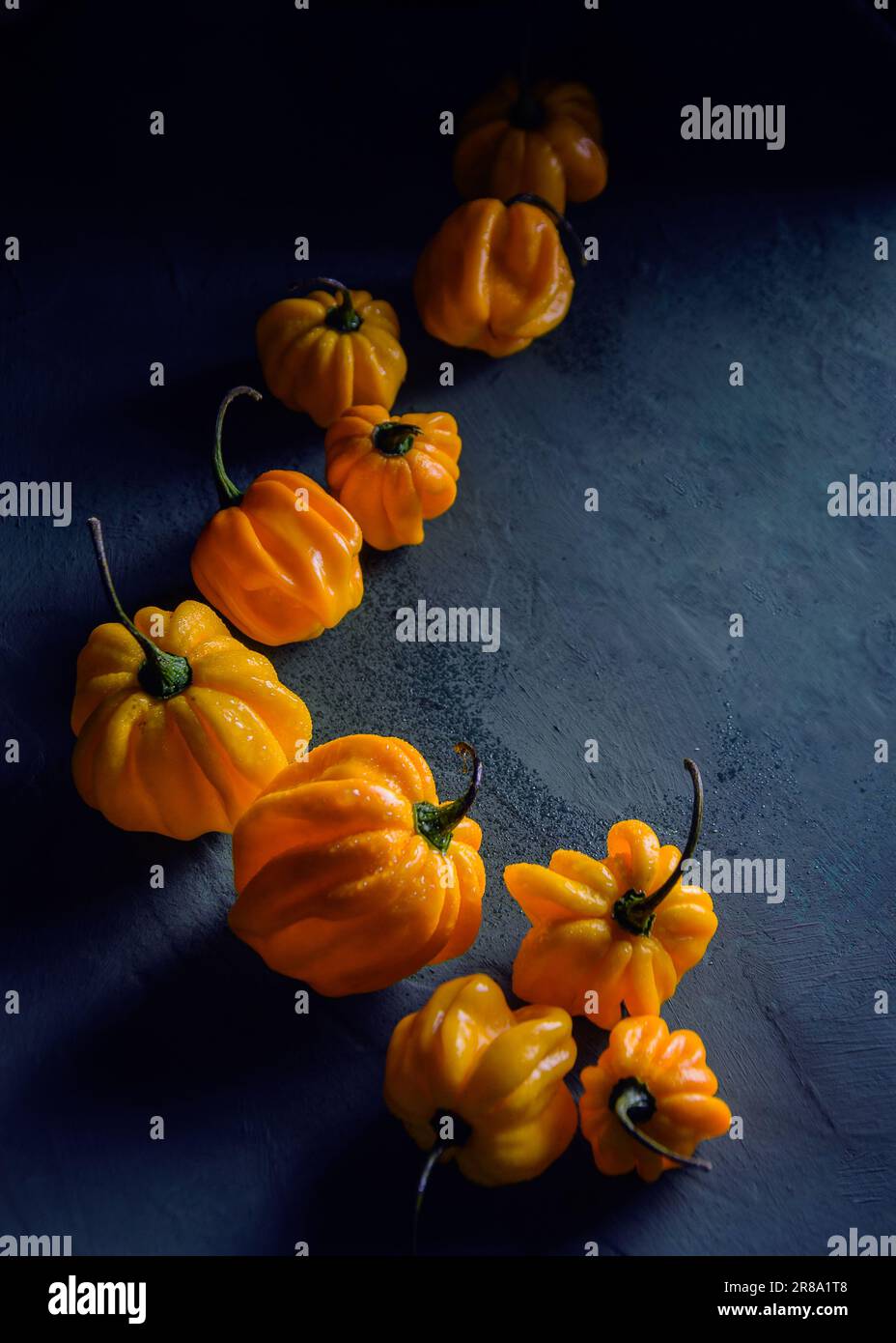 fresh yellow peppers on blue background Stock Photo