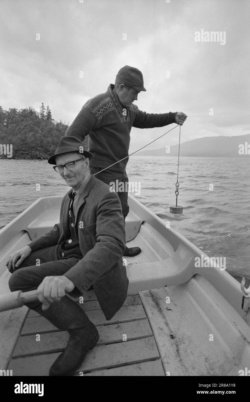 White har Black and White Stock Photos & Images - Page 2 - Alamy