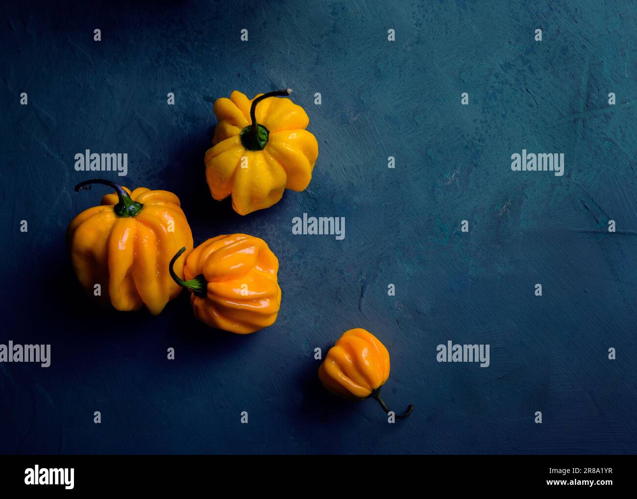 fresh yellow peppers on blue background Stock Photo