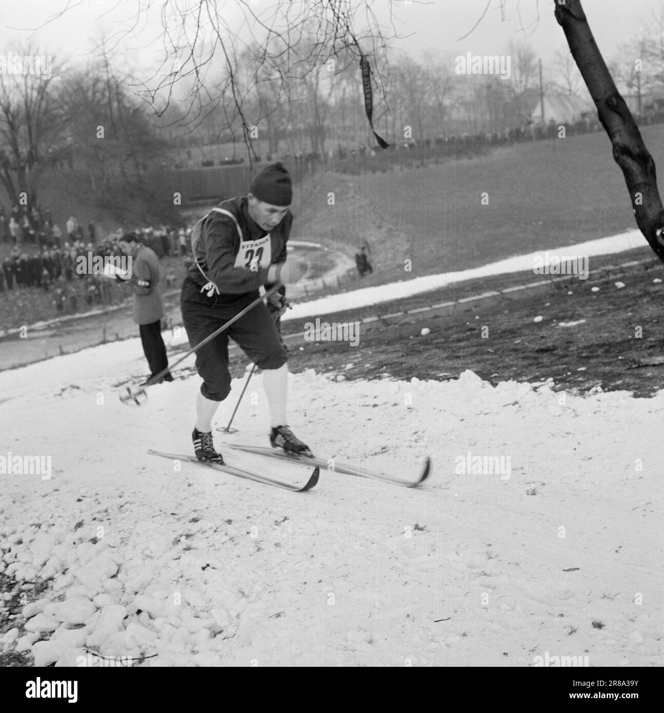 Current 351960 Long trail to the top Since he was a little boy