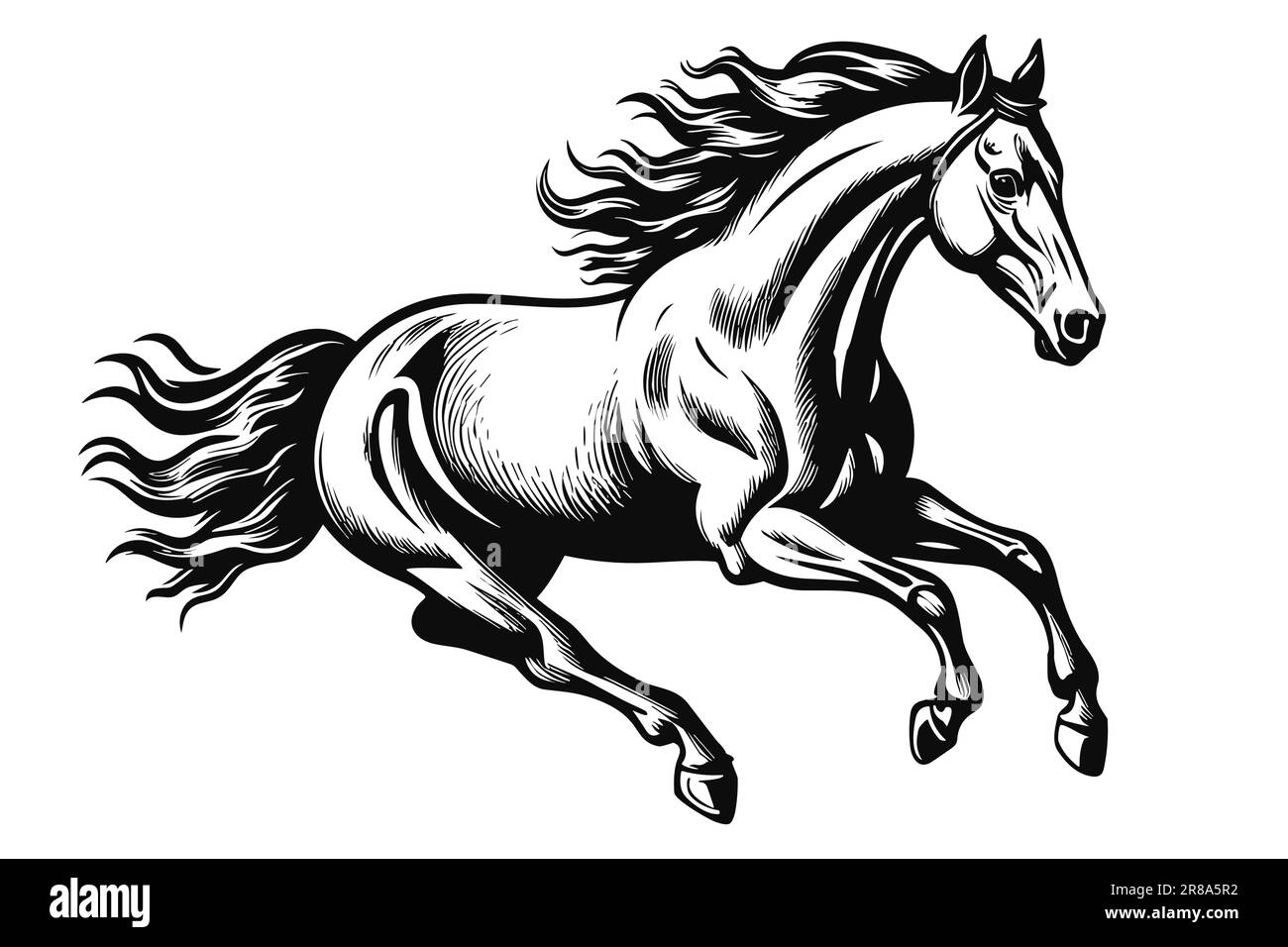 black and white horse drawings