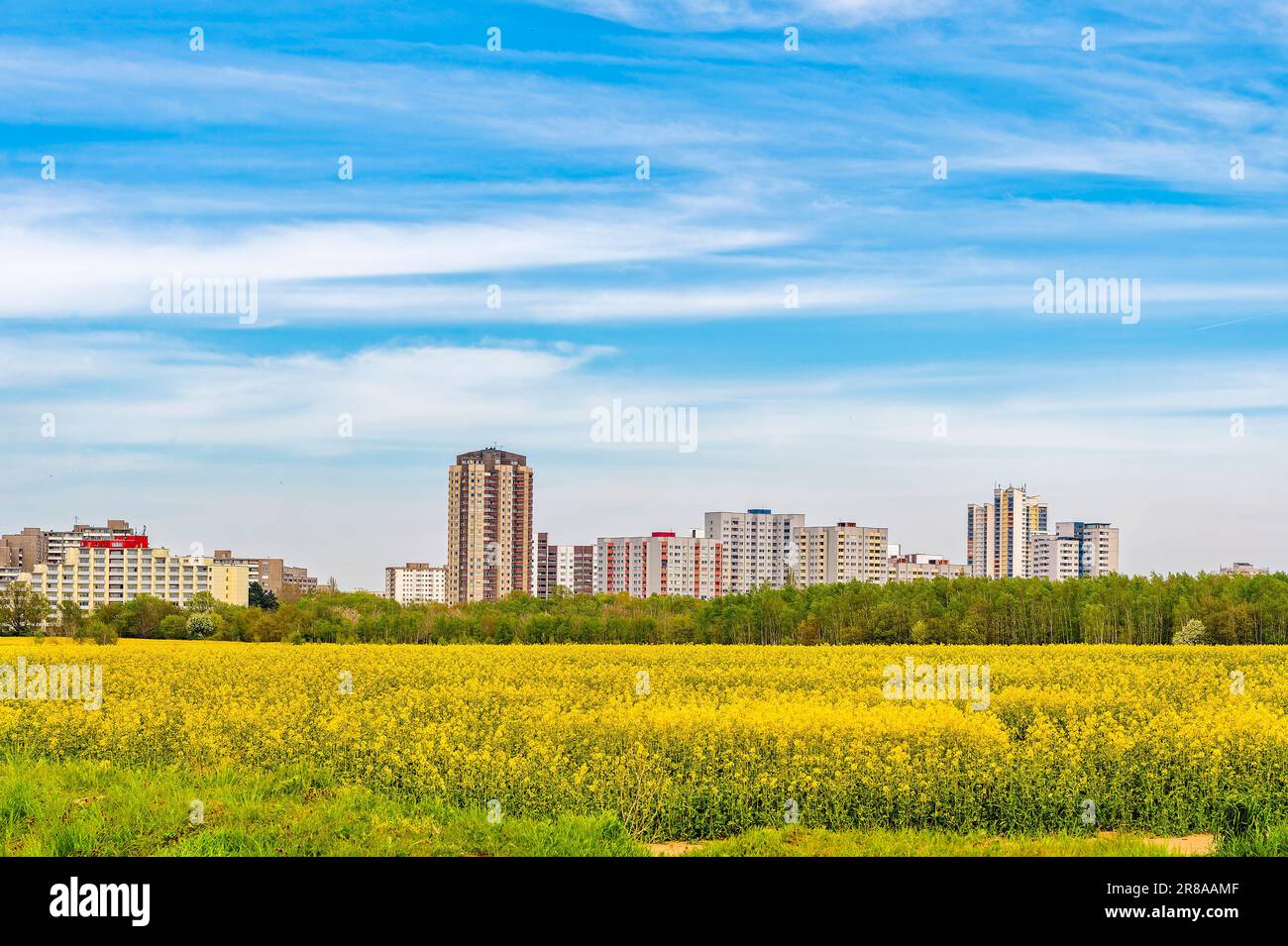 View over a field with flowers to the satellite city Gropiusstadt in Berlin-Neukoelln. Stock Photo