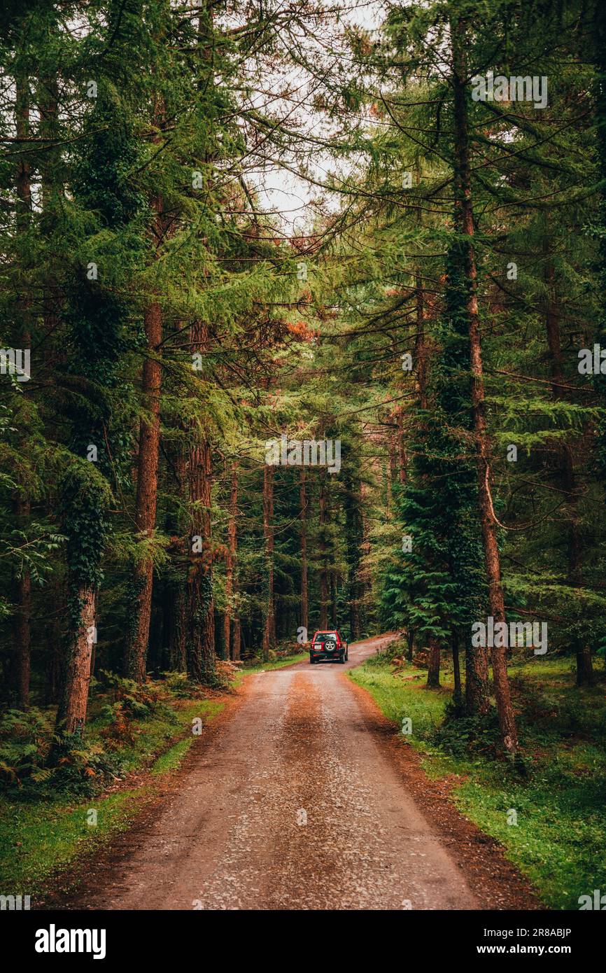 An off-road car traveling on a dirt road through a lush forest. 4x4 expedition in nature and adventure travel concept Stock Photo