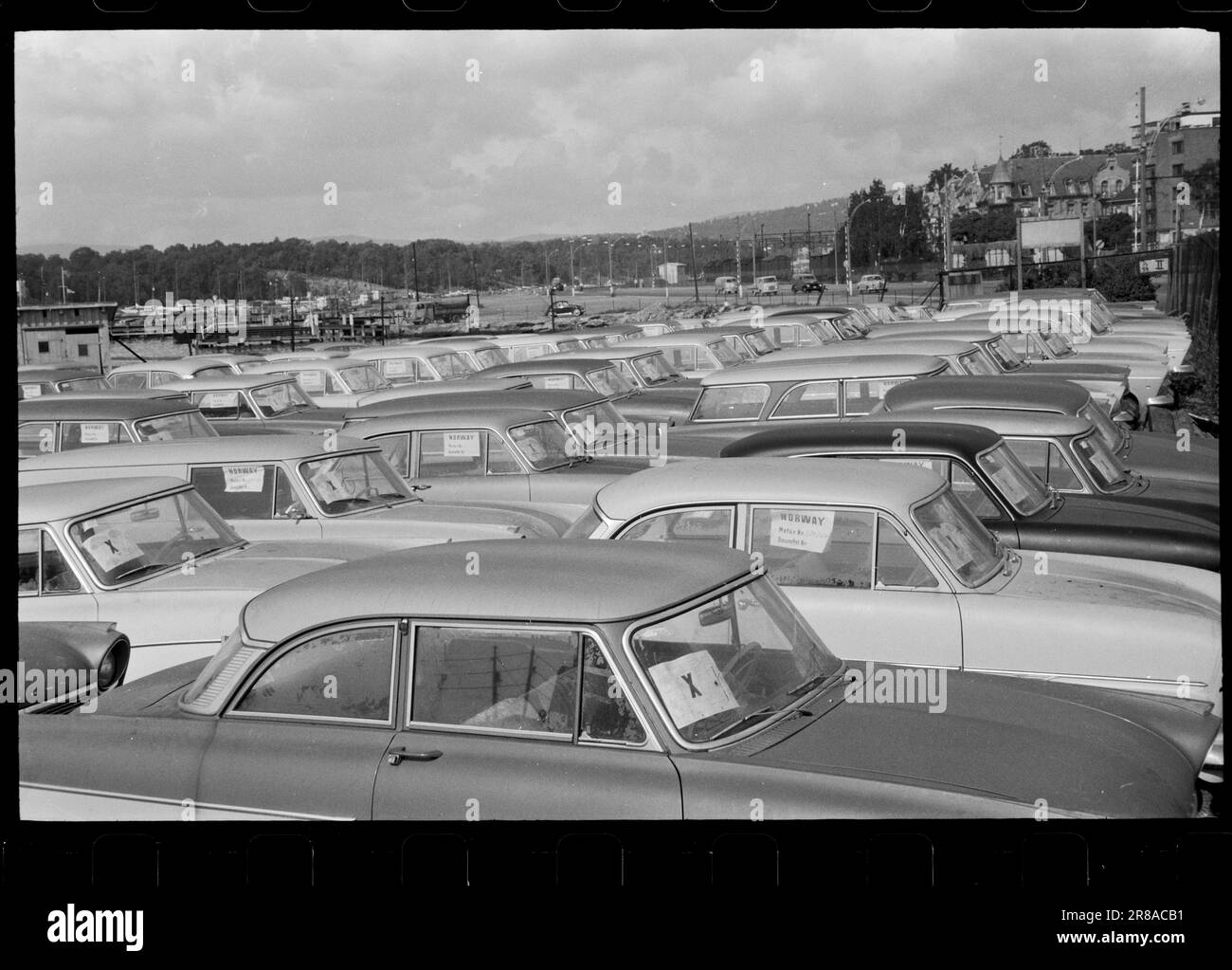 Current 41-3-1960: To an unknown owner To unknown owner. Here they come