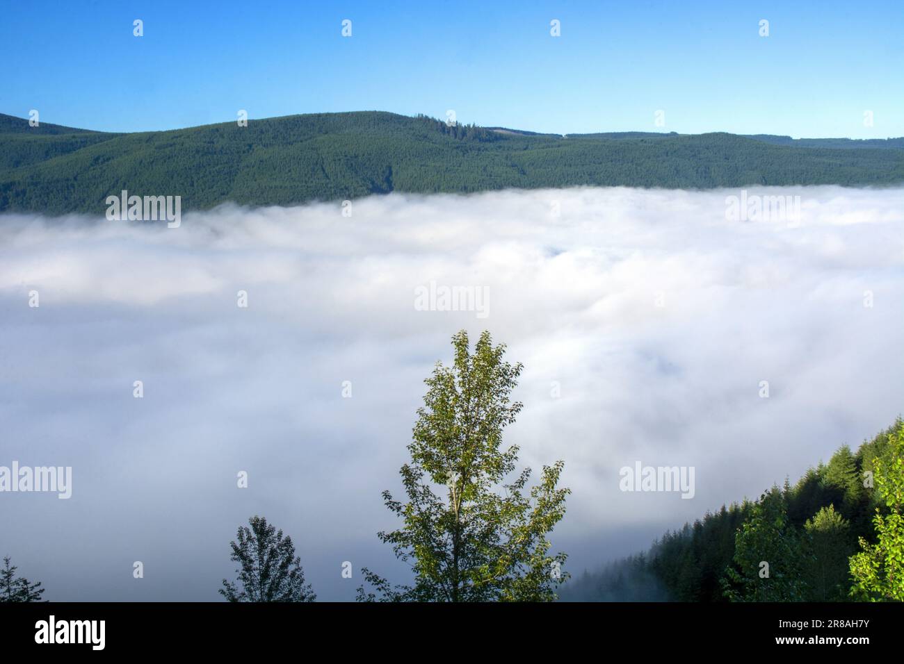 Clouds cover a valley below Mount Saints Helens, Washington Stock Photo