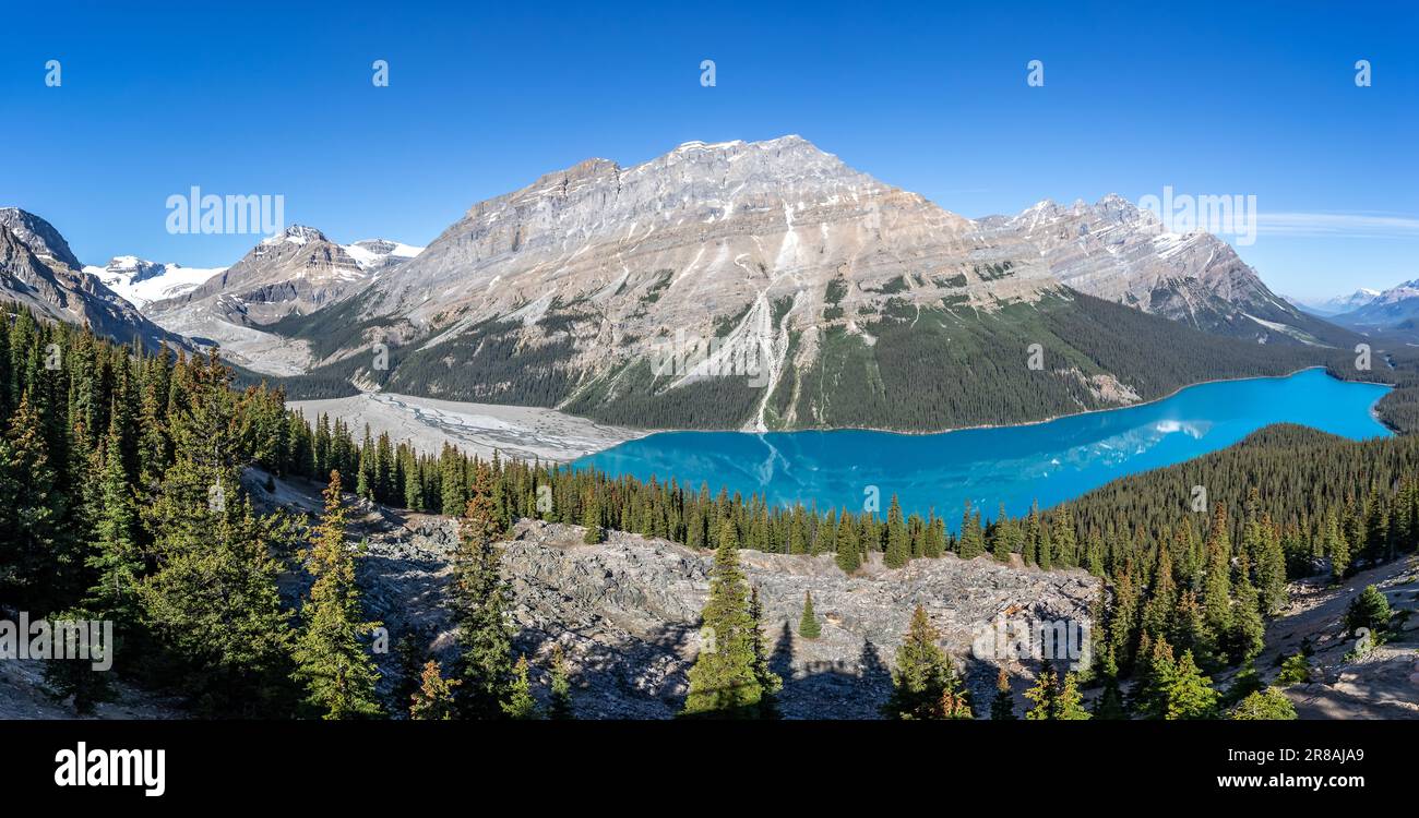 Panoramic landscape of Peyto Lake in Banff National Park, Alberta ...