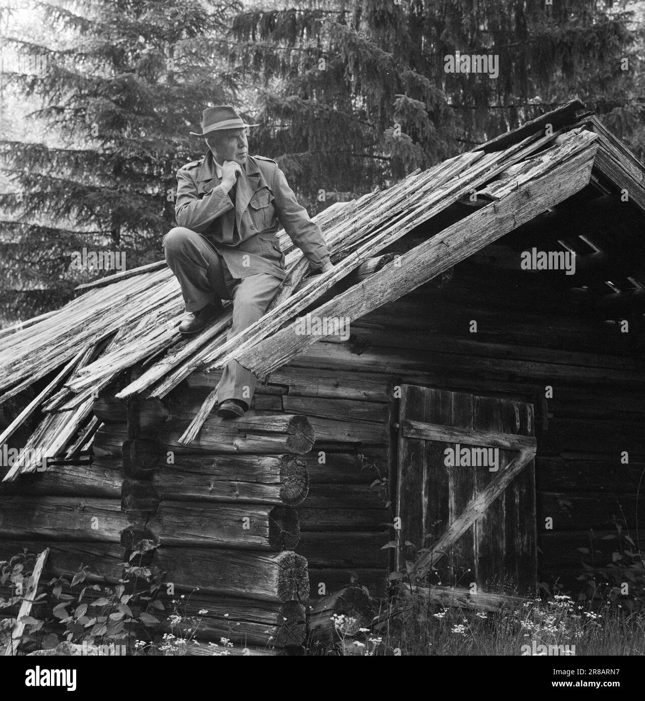 Current 32-5-1960: Oladalen's poet There won't be time to run the garden anymore. The demand for serials about life in Oladalen is so great that Sigurd Lybeck does not know what to do. He wanders restlessly back and forth in the yard. What will now happen to the Myrenggubben?  Photo: Aage Storløkken / Aktuell / NTB ***PHOTO NOT IMAGE PROCESSED*** Stock Photo