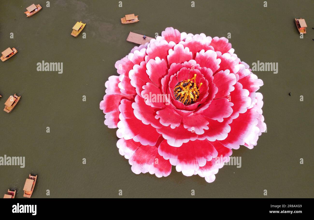 (230620) -- ZHENGZHOU, June 20, 2023 (Xinhua) -- This aerial photo taken on April 16, 2023 shows a giant peony installation in Luoyang, central China's Henan Province. Luoyang, an ancient capital city in central China's Henan Province, has been a dazzling name amid the splendid Chinese civilization -- with over 4,000 years of history, the city served as the capital for 13 Chinese dynasties. Present-day Luoyang is home to five capital city ruins, six UNESCO World Heritage sites, 197 cultural relic units under national and provincial protection, 9,000 pieces of immovable cultural relics, and 1 Stock Photo