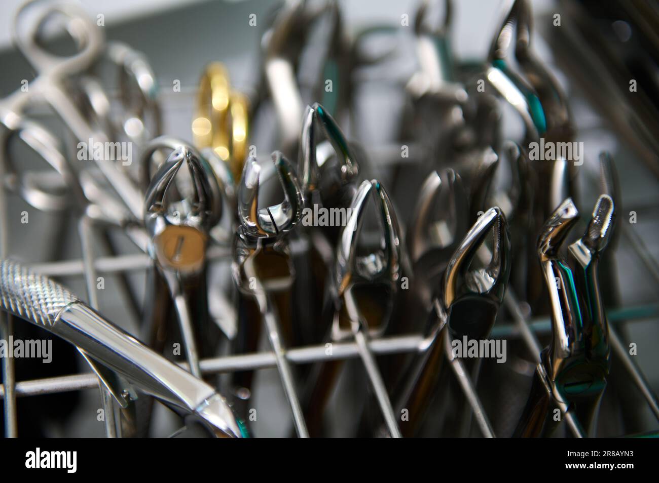 Focus on stainless steel professional dental extraction forceps being sterilized under UV inside