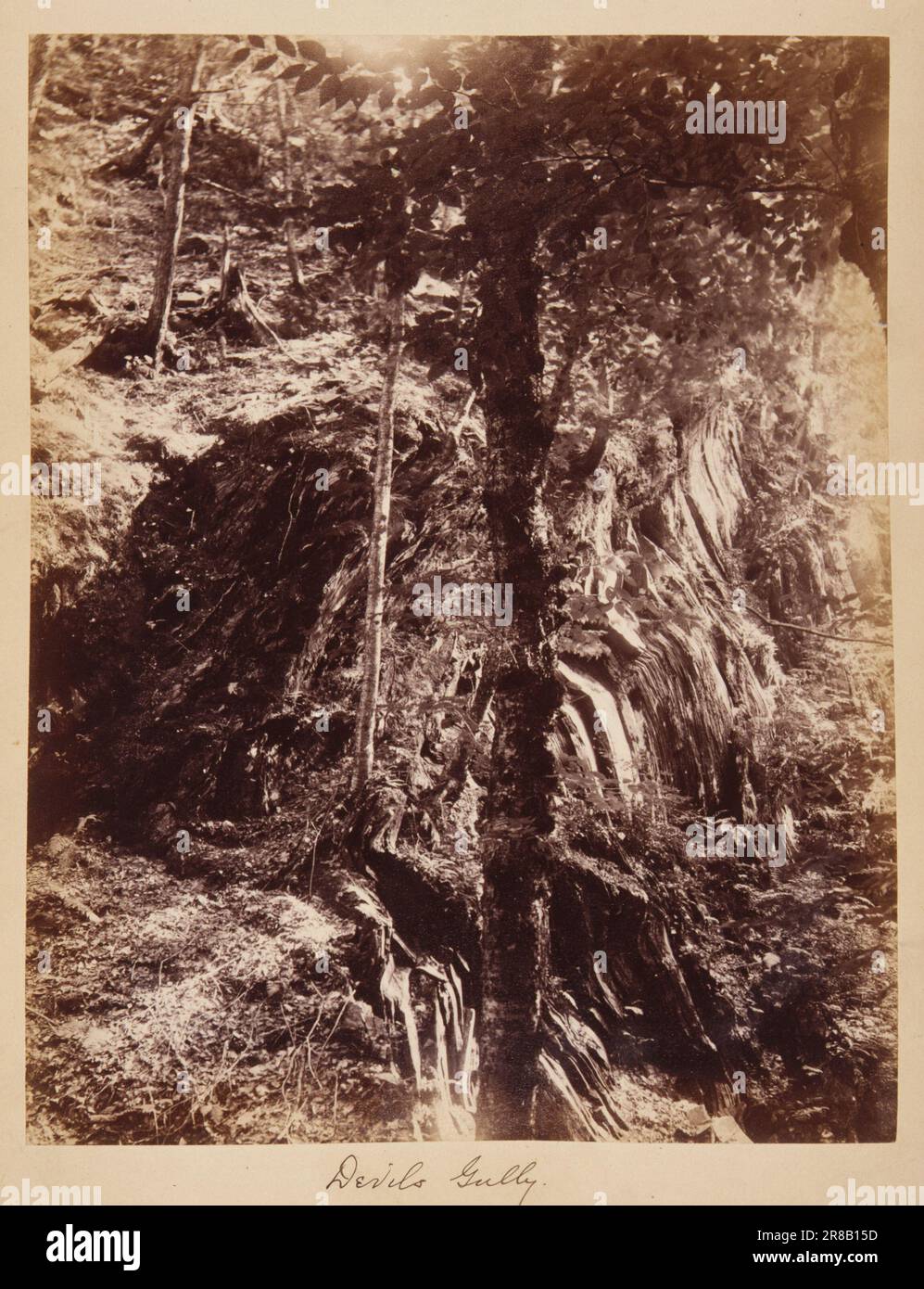 Devil's Gully, from the album Views of Charlestown, New Hampshire 1888 by Gotthelf Pach, active 1880s Stock Photo