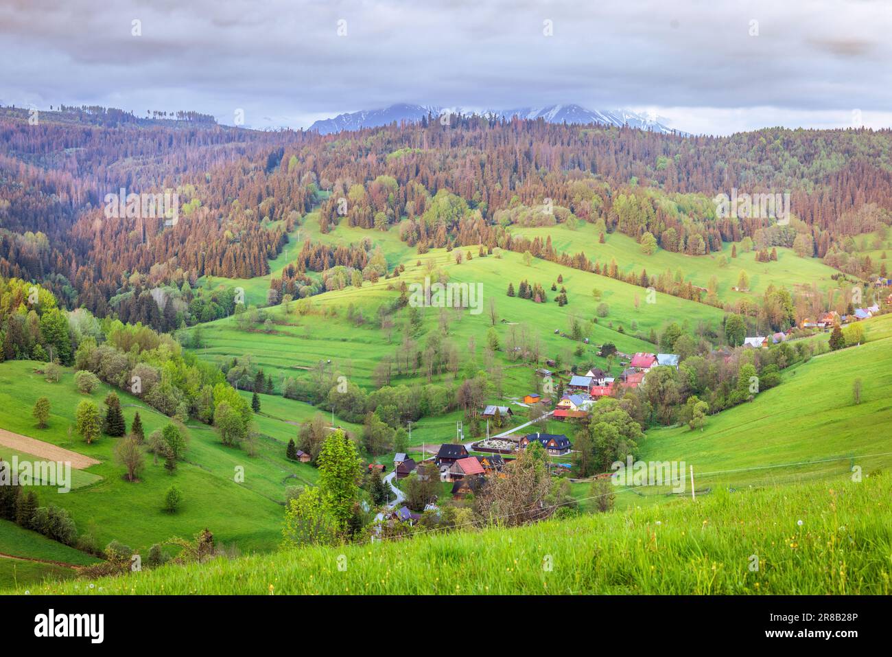 Osturna village in Slovakia with Belianske Tatras on background. Stock Photo