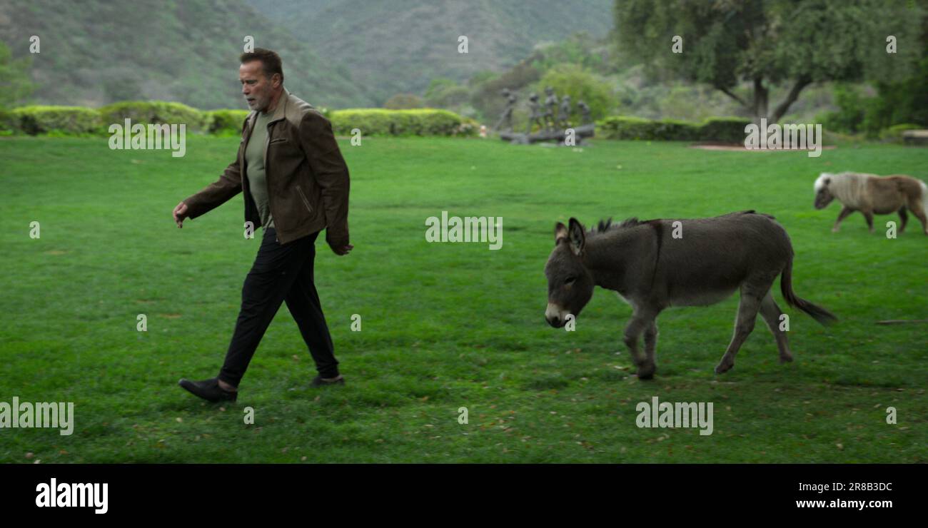 Arnold Schwarzenegger, "Arnold" (2023). Photo credit: Netflix Stock
