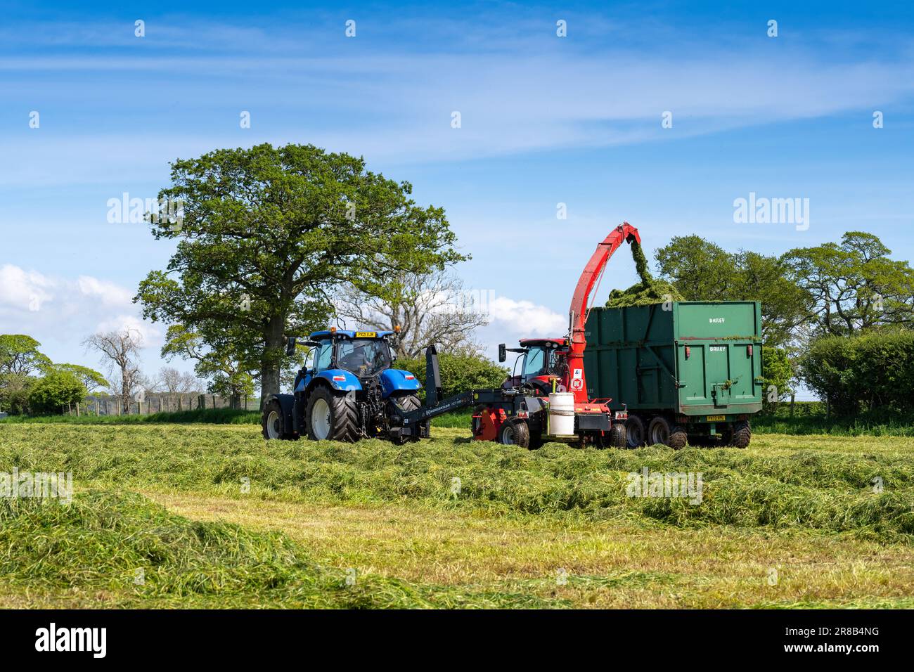 Making first cut silage on a dairy farm in early summer in the Eden Valley near Penrith, Cumbria. Stock Photo