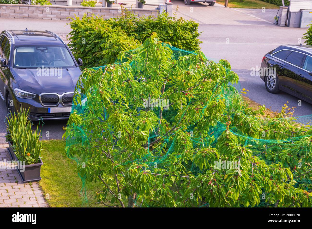 Beautiful view of villas private yard with parking and cherry tree in