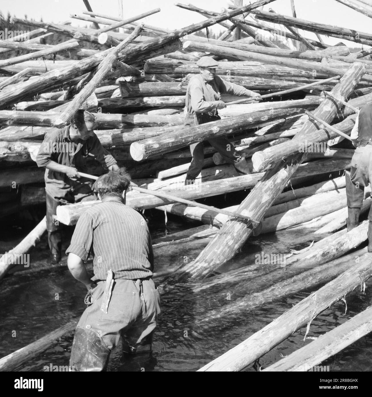 Current 17-1-1947: The catastrophic droughtReports are pouring in from ...