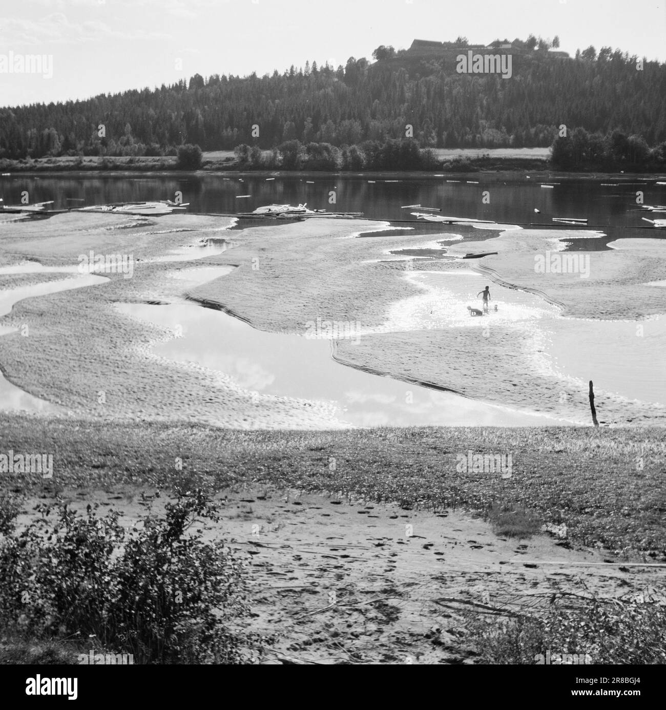 Current 1711947 The catastrophic droughtReports are pouring in from