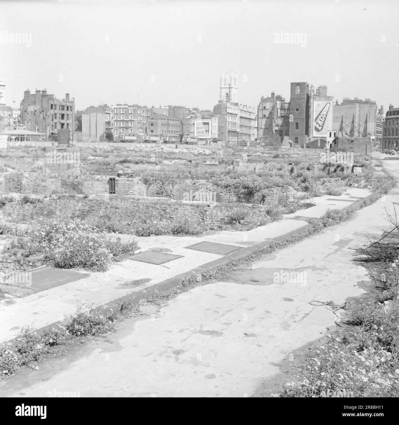 Meeting of birds Black and White Stock Photos & Images - Alamy