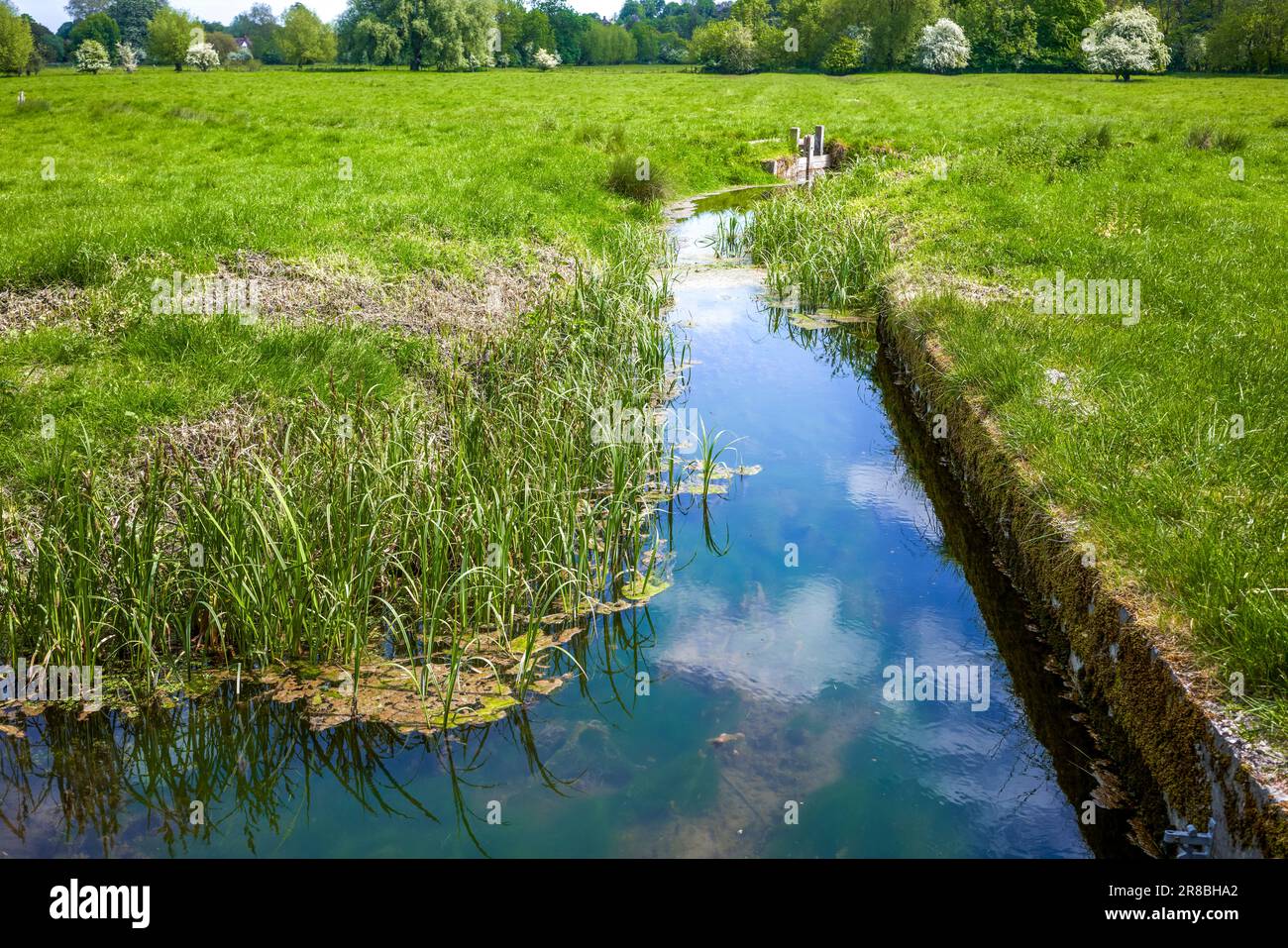 Irrigation channel running through agricultural meadow pasture land
