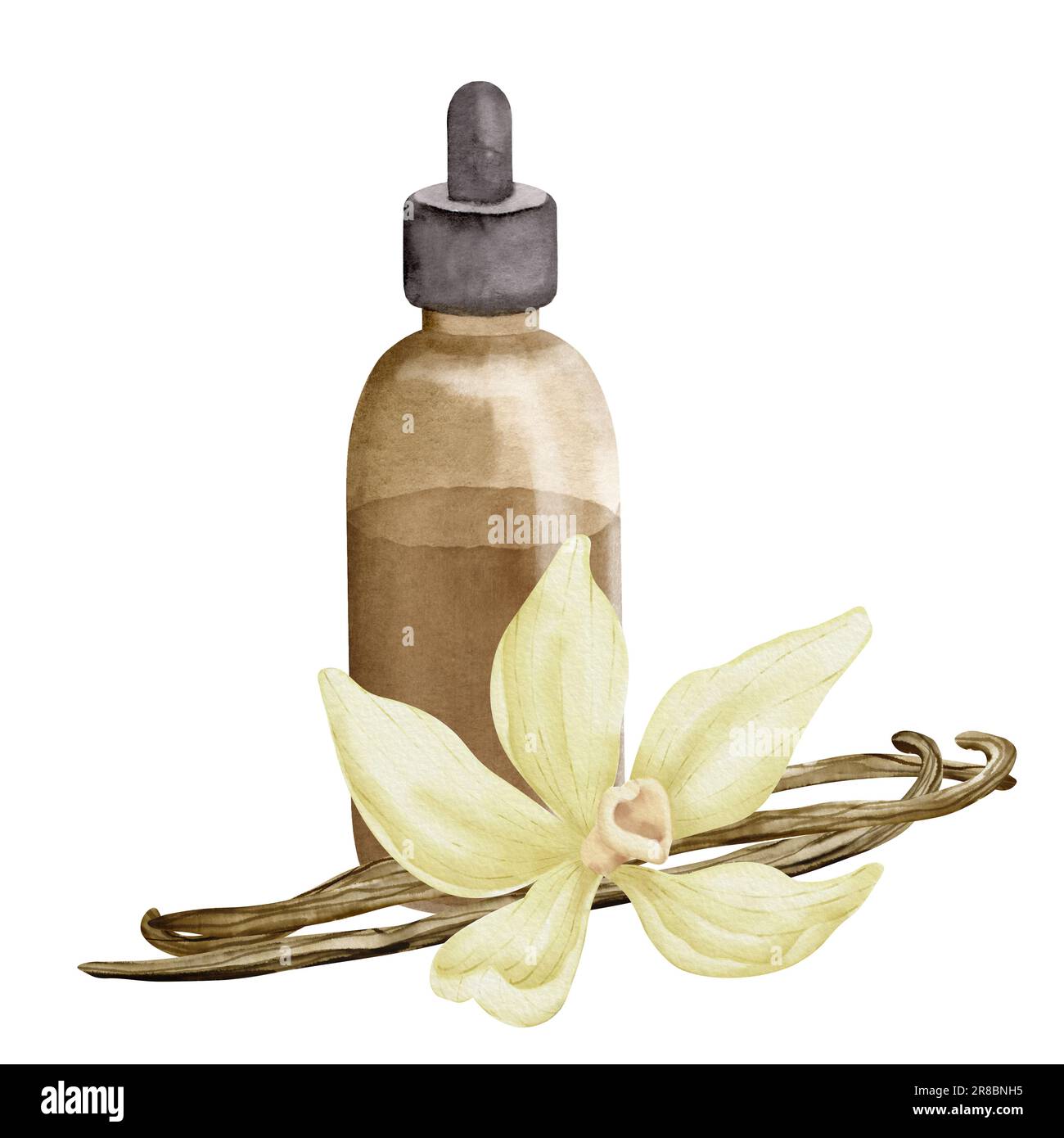 Vanilla essential oil with vanilla beans on wooden board Stock Photo by  Dionisvero