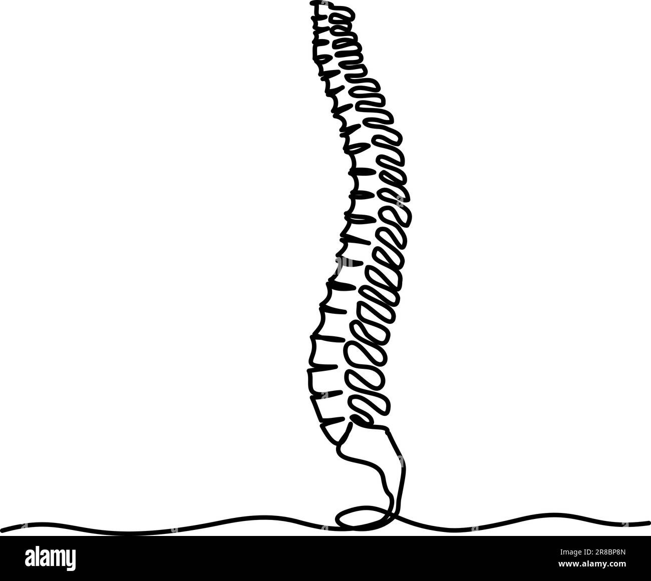 Spinal vector vectors Black and White Stock Photos & Images - Page 2 - Alamy