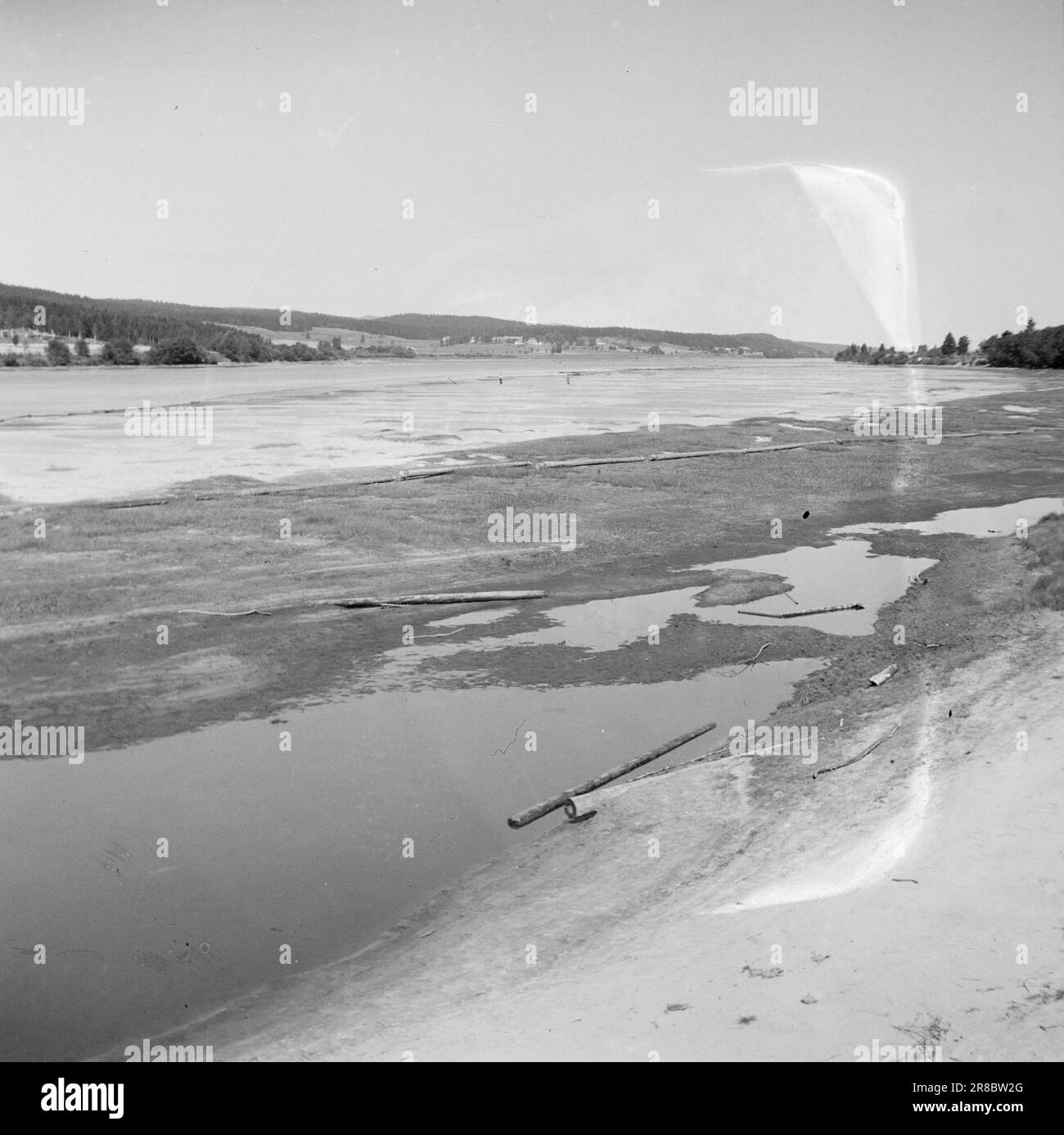 Current 1711947 The catastrophic droughtReports are pouring in from