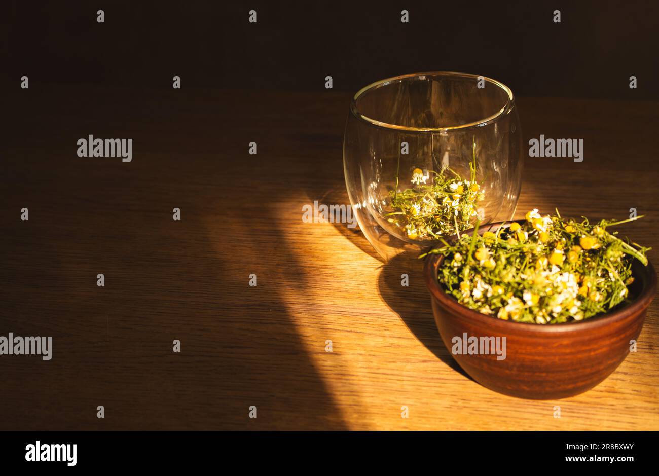 Chamomile tea and dry chamomile flowers in jar. Medicine camomile in sunlight. Eco products. Glass of natural tea and herbs. Herbal drinks. Stock Photo