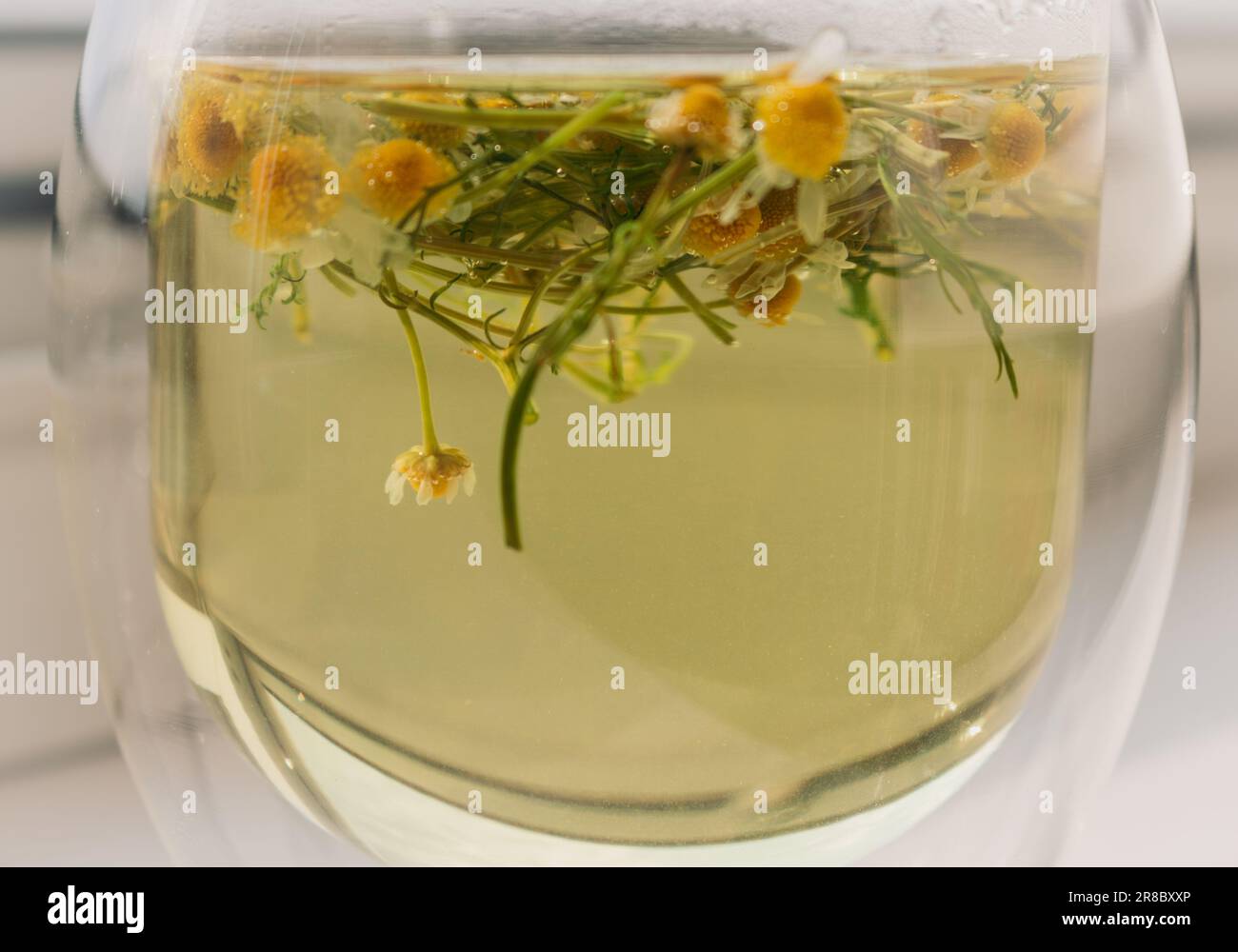 Chamomile tea and dry chamomile flowers in jar. Medicine camomile in sunlight. Eco products. Glass of natural tea and herbs. Herbal drinks. Stock Photo