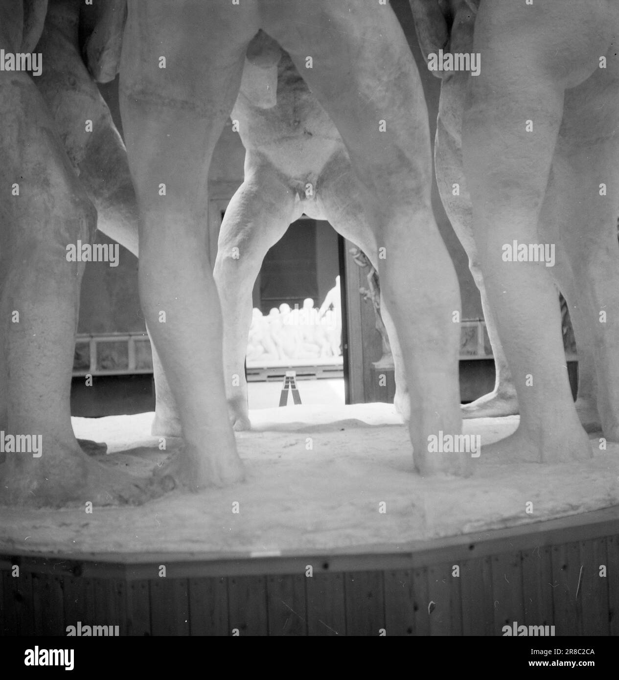 Current 161947 The Vigelands plant, scandalous or brilliantOver the