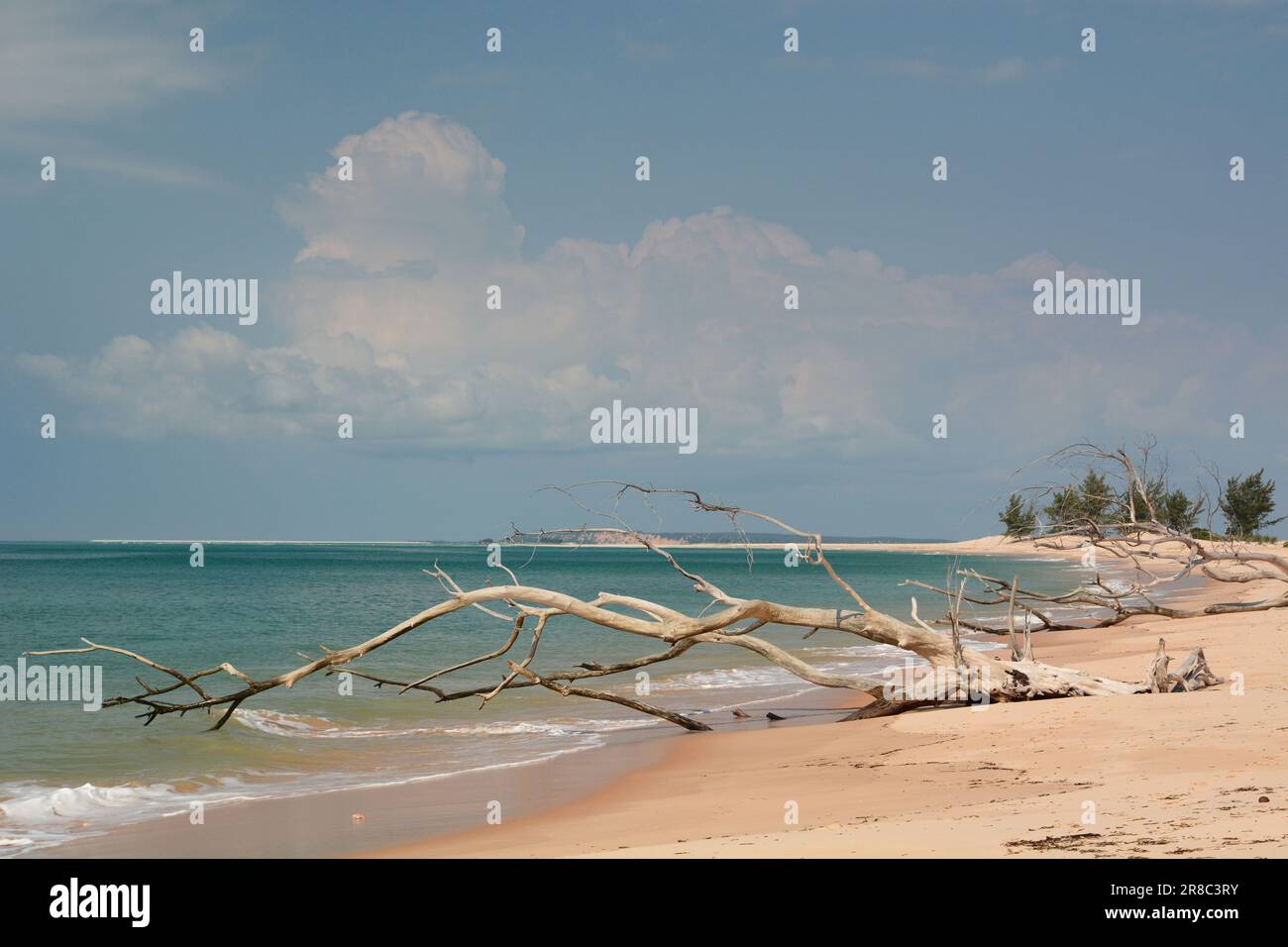 Beach in Magaruque island. Bazaruto archipelago. Mozambique Stock Photo