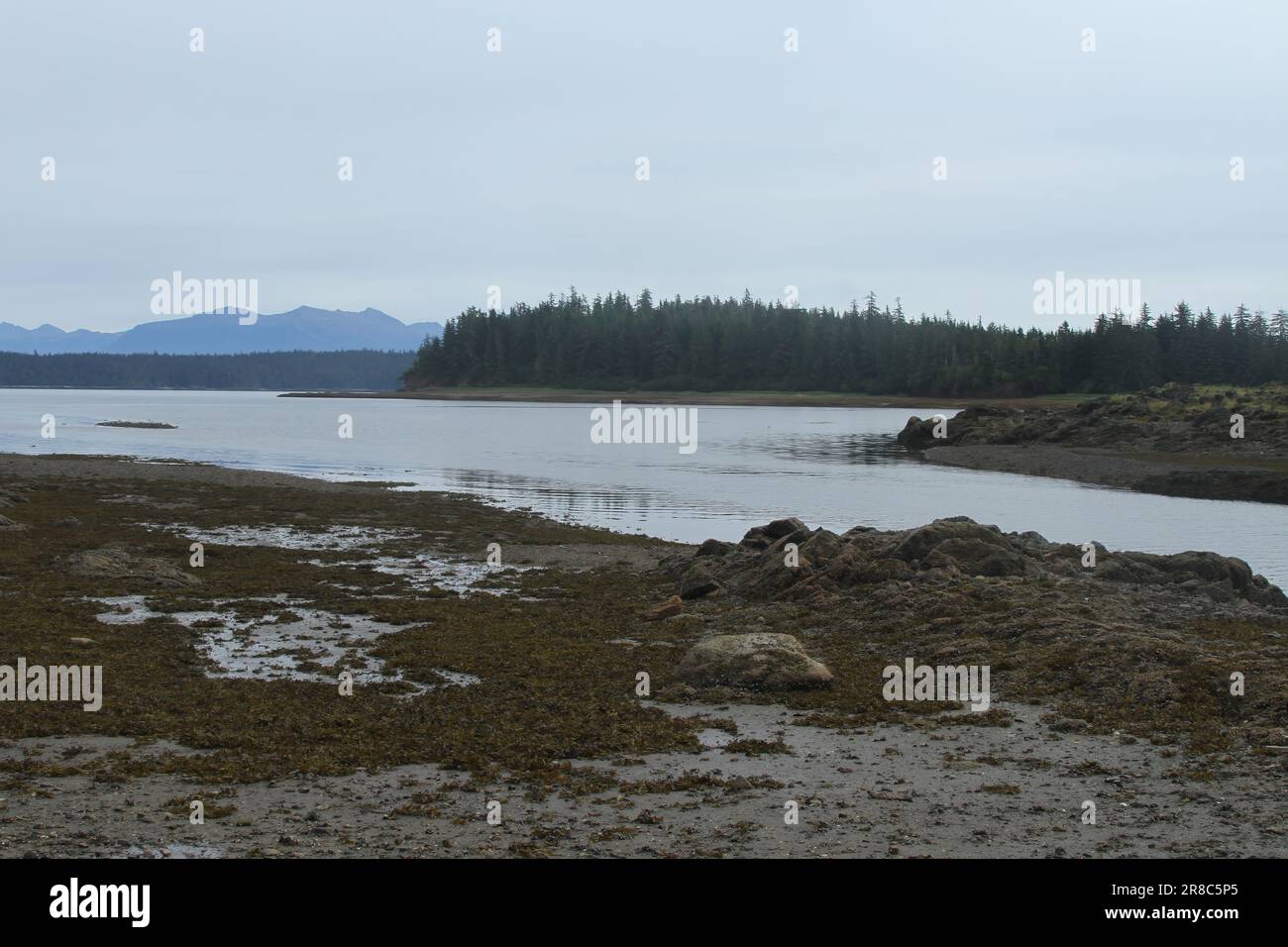 Alaska's inner passage; admiralty island; pack creek; Pavlov lake and