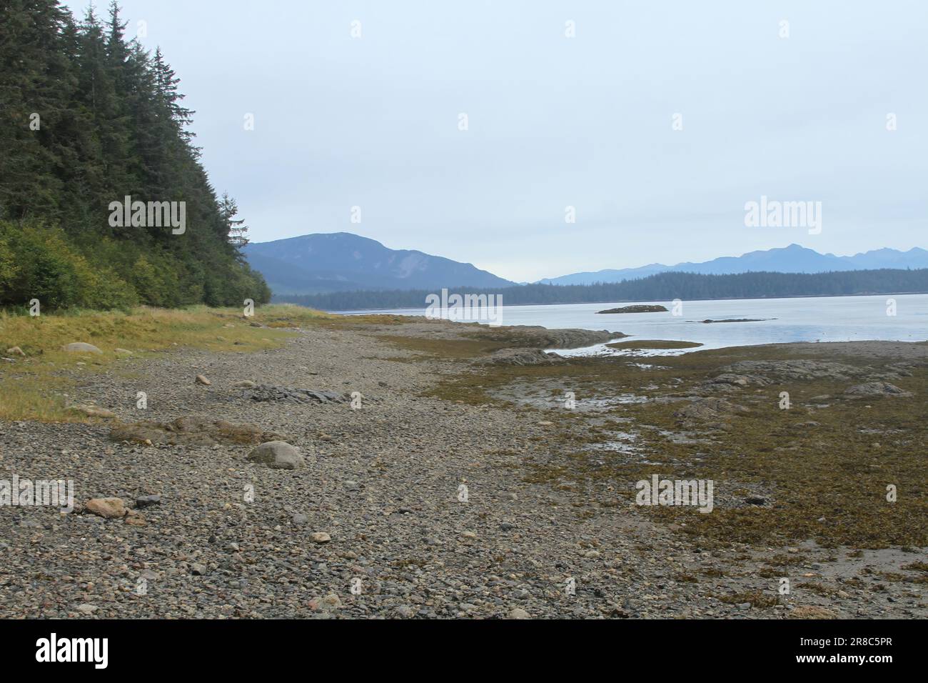 Alaska's inner passage; admiralty island; pack creek; Pavlov lake and