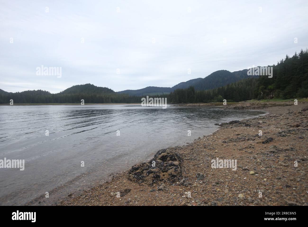 Alaska's inner passage; admiralty island; pack creek; Pavlov lake and