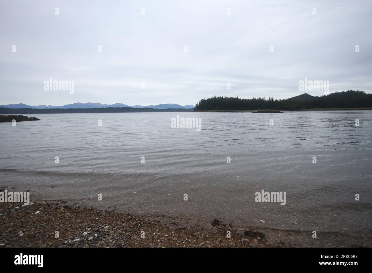 Alaska's inner passage; admiralty island; pack creek; Pavlov lake and