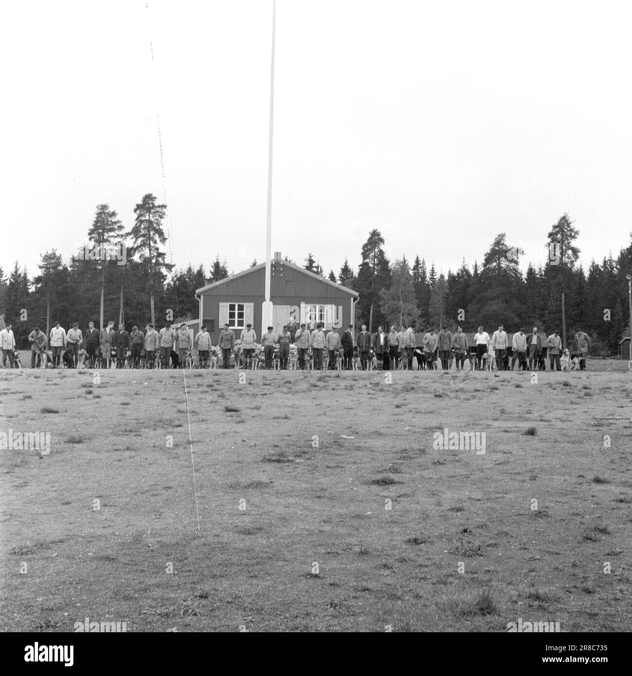 Tracking dogs Black and White Stock Photos & Images - Alamy