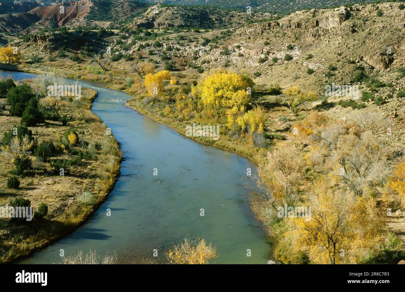 Autumn colors along the Chama River Stock Photo