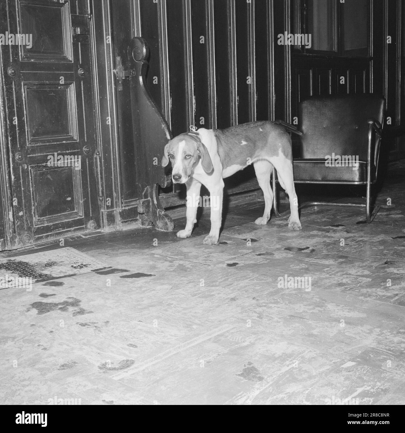 Actual 12-4-1960: It was a Saturday evening Saturday night reveals ...