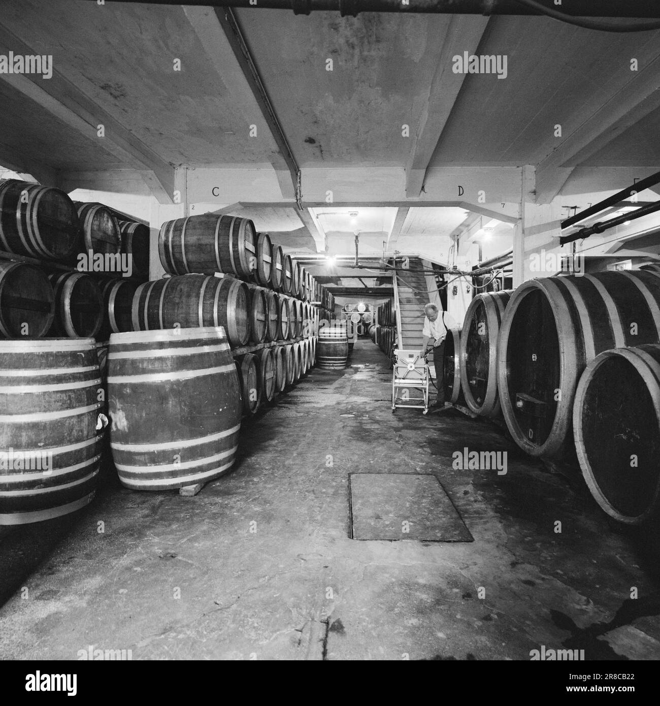 Fermenting grapes Black and White Stock Photos & Images Alamy