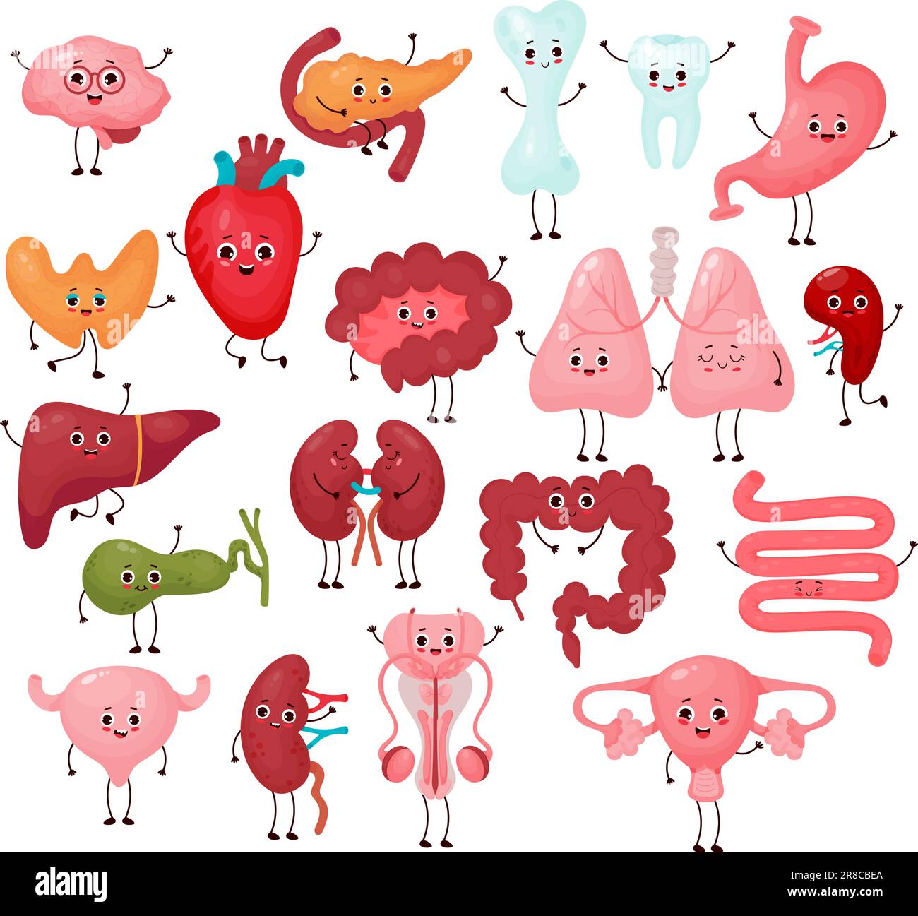 Big collection cute human cartoon organs. Isolated vector flat funny cartoon characters illustrations. Anatomy concept Stock Vector