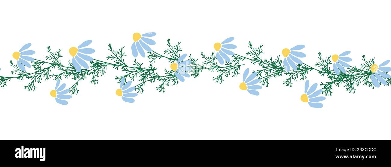 Chamomile horizontal border seamless pattern. Floral seamless border Stock Vector
